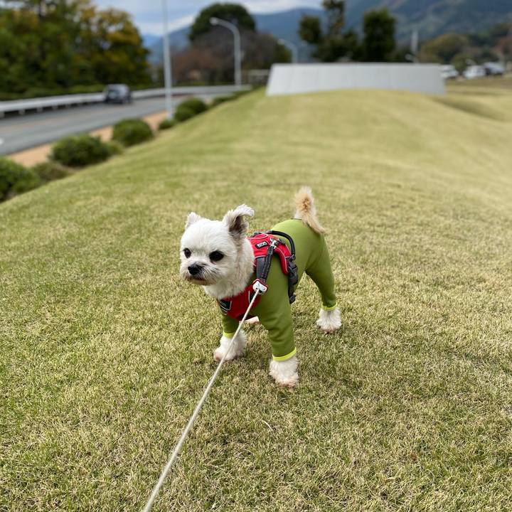 32c9295c 7ccc 4143 982a 33e7aa0fa98c 1606629693106