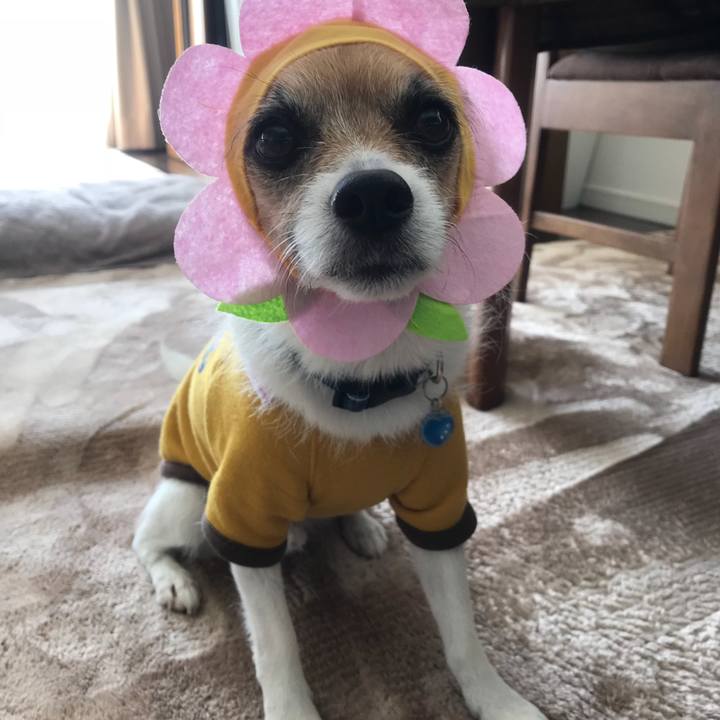 32c92b95 7e50 4a24 92c6 df910697851f 1515278768242