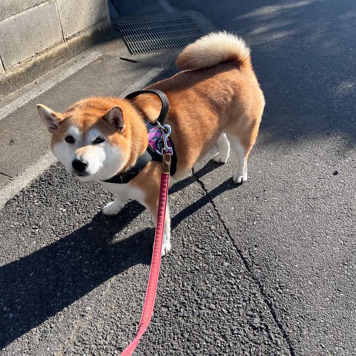 32c9a4da 6f62 48d1 b289 e35050d86698 1703308362279