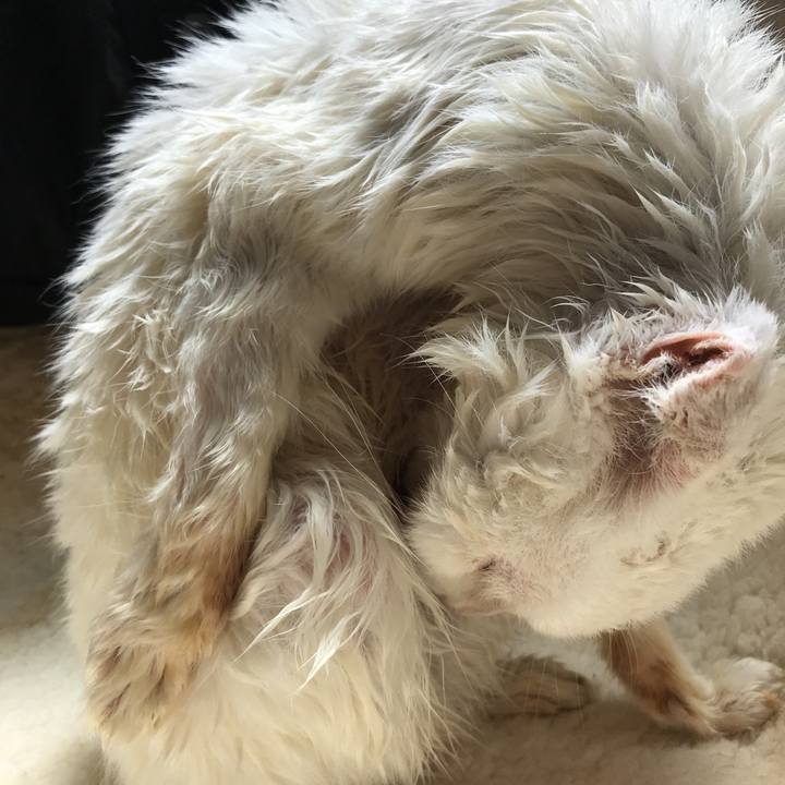 32c9ec6c 2bce 43d4 ac9f 0de5d7663021 1530333459550