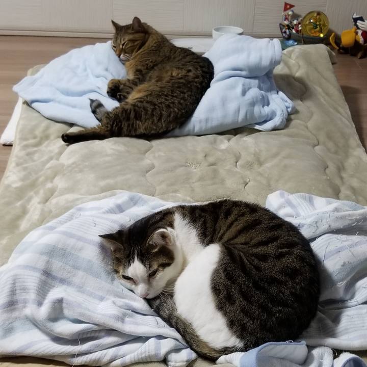 32ca2144 dad9 4112 88e1 cf9f71cac6f2 1611925102773