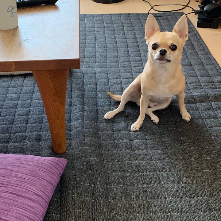 32ca2db0 fa5b 4df0 8eb3 c6bed783a154 1568424131954