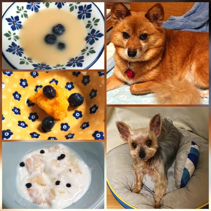 32ca4037 d7ca 4b11 9a6b 4a9697ee4380 1630111335081