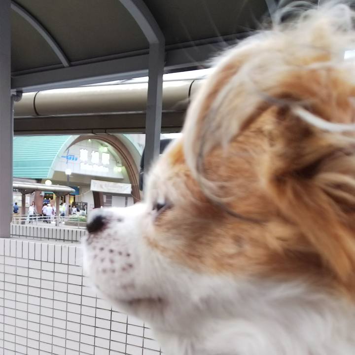 32ca5b4e 3ff1 4a80 bc72 36894f248500 1539416593580