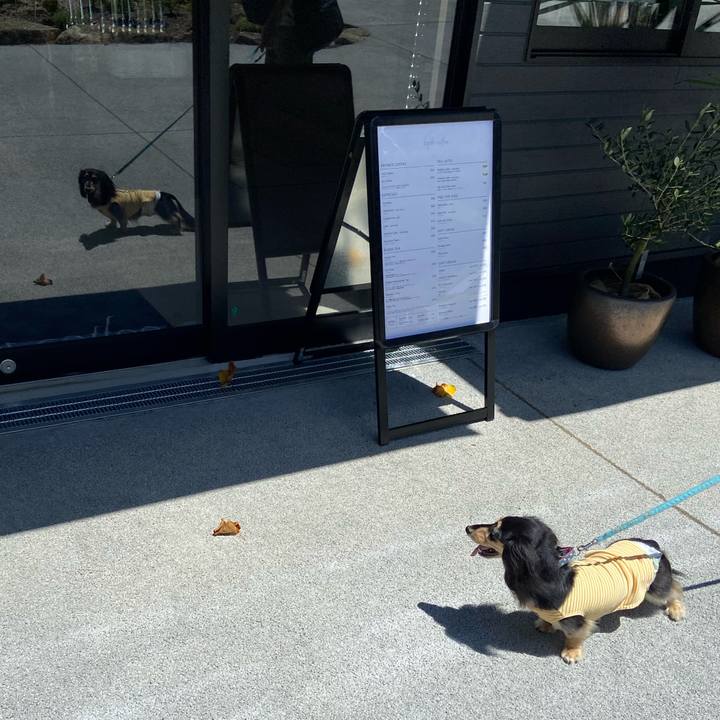 32ca7ea5 7982 4943 a80b 4c3b276d35f8 1752990303598