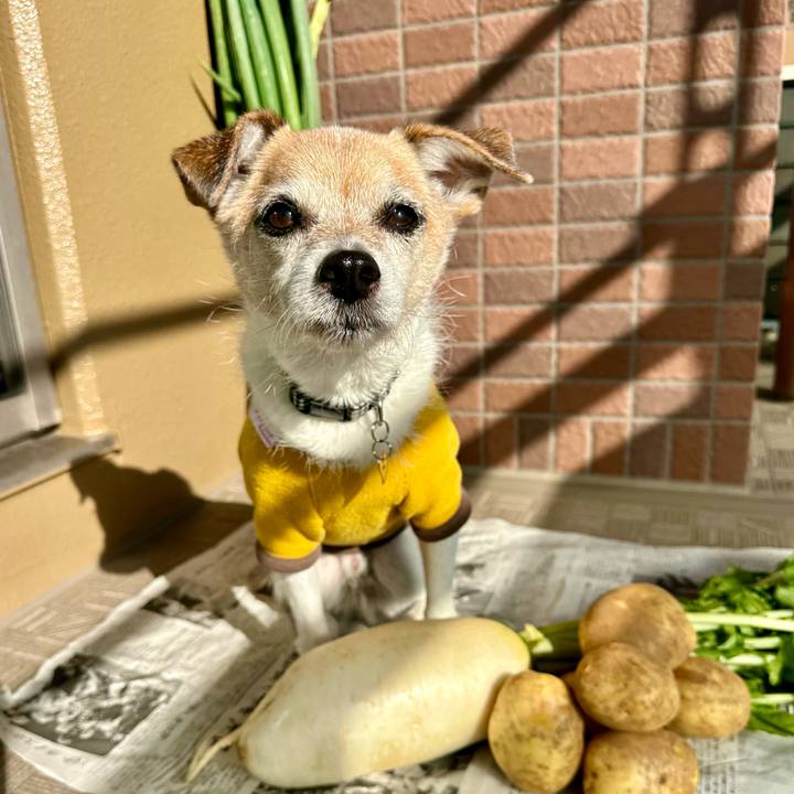 32ca8a54 f9ef 4c49 84fe 9eef04d1d84e 1671162305354