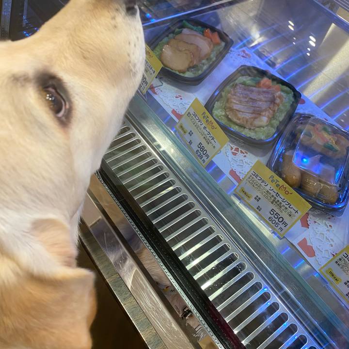 32ca8f85 d2b3 4988 9acc 0a38fec3325d 1617435740140