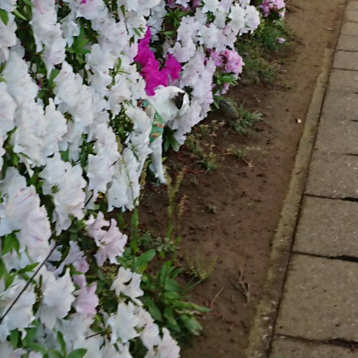 32cae17d 088d 4722 99ed 9c1ff77d36da 1557876388010