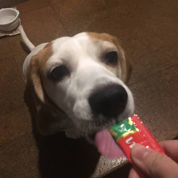 32cb1357 65d6 4b81 90b4 b26148bac461 1546788169937