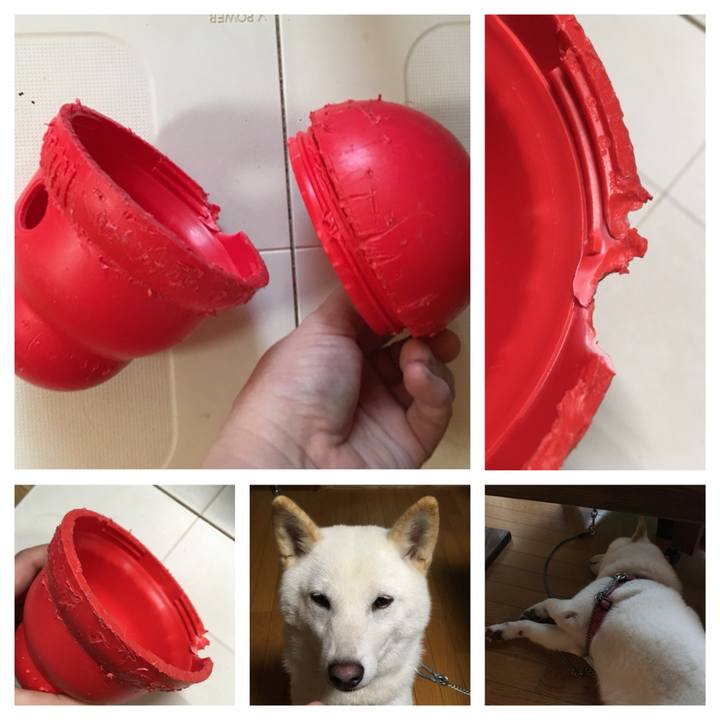 32cb54cc 39f4 4c49 b649 42987518ff47 1537776121729