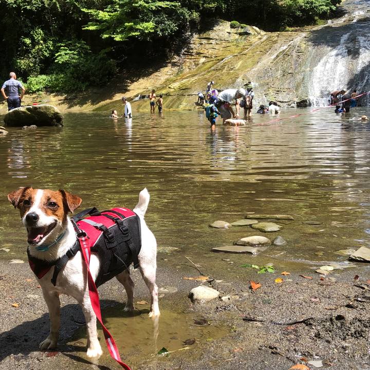 32cb6dc6 dc1d 4796 b67c 3773413cfc14 1564893200096