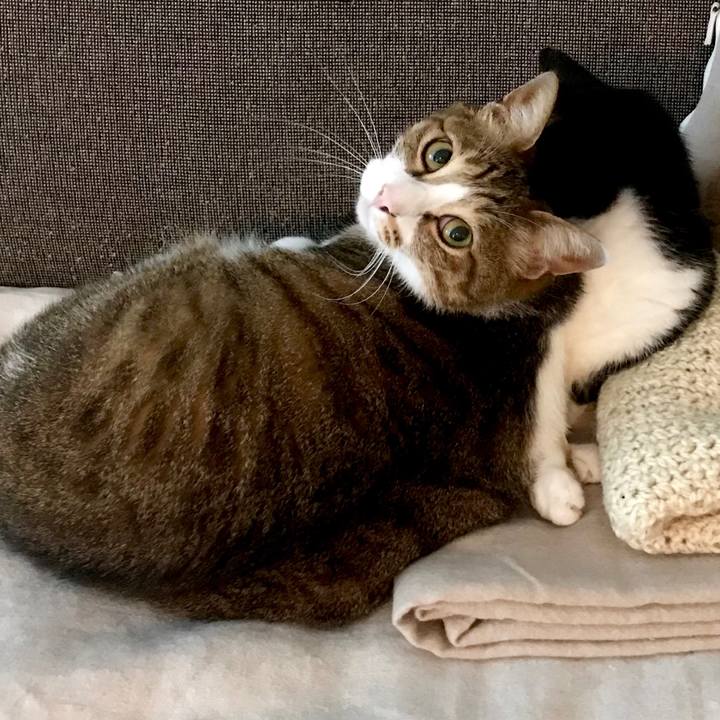 32cb7bd8 b801 45b5 807f a2809bd039f5 1529634709282