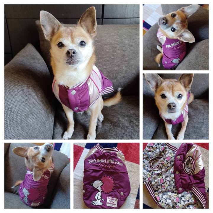 32cb89d4 d05a 4fb8 b33a 2597e539297a 1765840275569