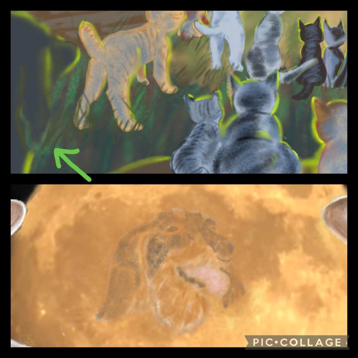 32cb9aef 0cfd 4ac0 8d37 b16b467b2ef5 1662800320982