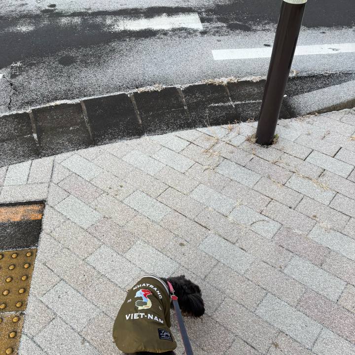 32cb9fa2 d287 4441 85d3 e335dc863172 1767348667761