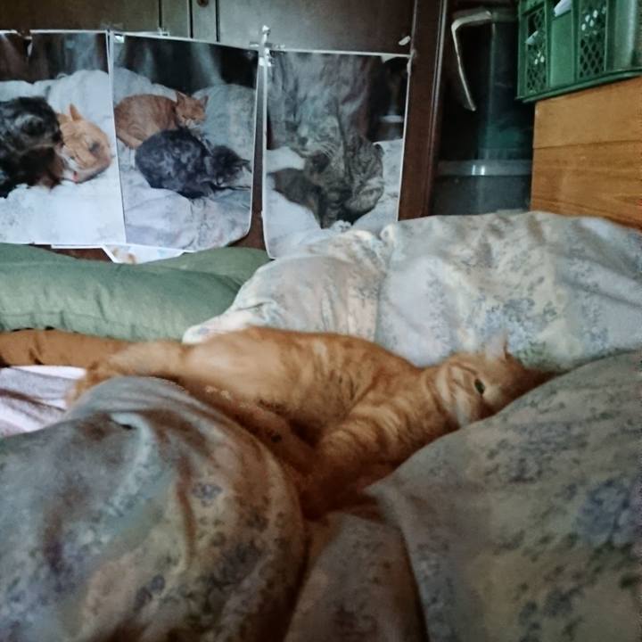 32cbb4d2 7288 413e aa2d e12c87155463 1658782469809