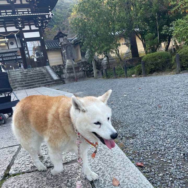 32cbcd4e b122 42c2 82dd 63b0827310e8 1699096303049