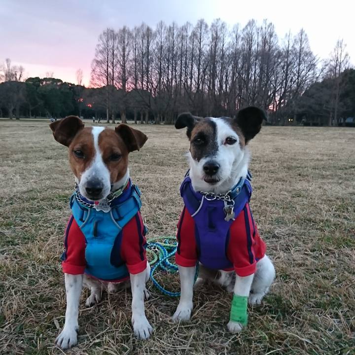 32cbd043 a762 4721 b52d 4247da248b9d 1612686973277