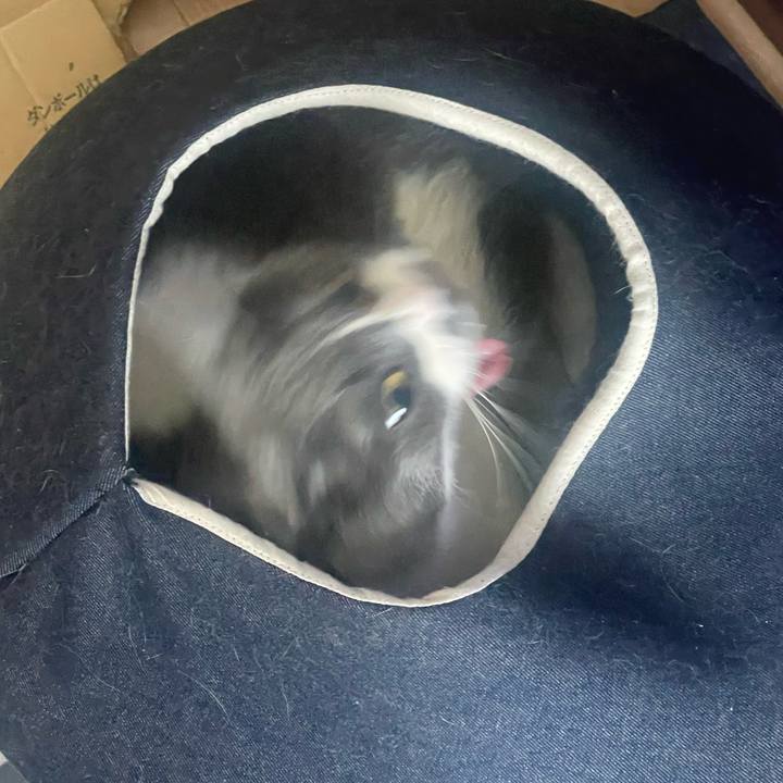 32cc0025 c9da 4640 aa33 a59a4df810a2 1716683173448