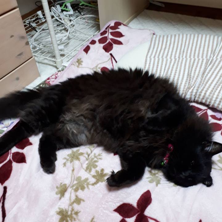 32cc02df 9b80 40e7 ad46 dc0fe829d4f8 1524139430901