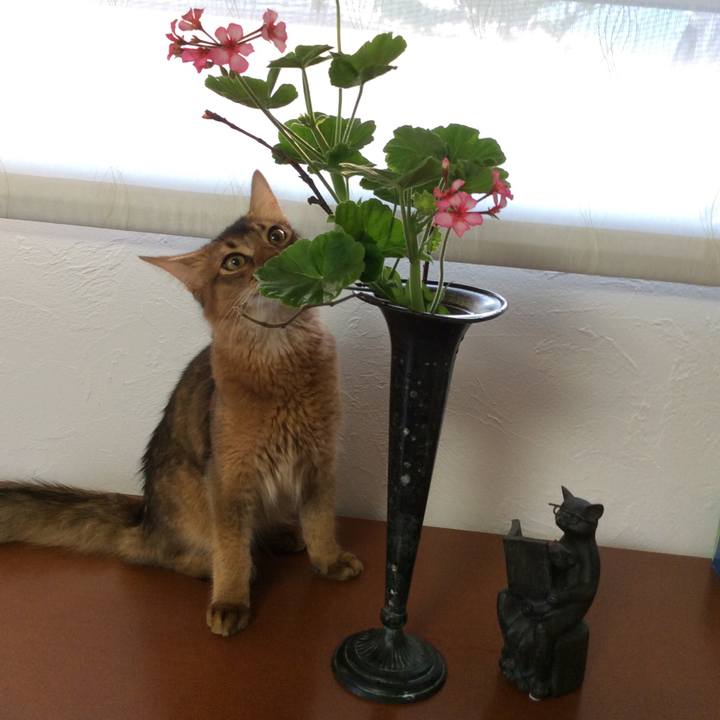 32cc459a c91b 4bde bedb 552ac4d749f7 1564563143158