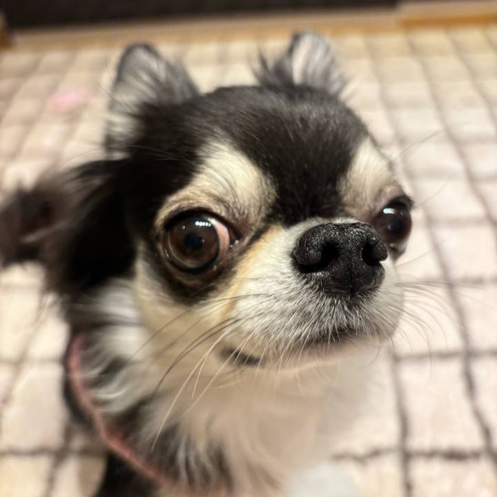 32ccd8af 20bc 4c0c b90a dec2a870263e 1734883030242