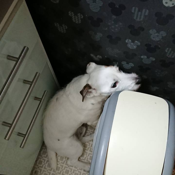 32ccf0c7 2ae8 42e4 ba8c ba0011b36c86 1573774460541