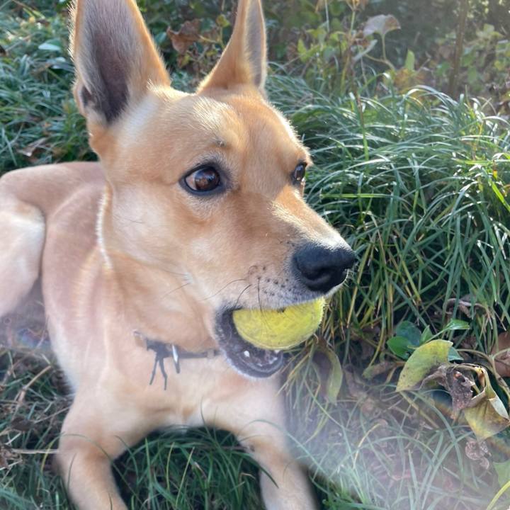 32cd1a90 7147 4329 85b6 07ace495698e 1639128152950