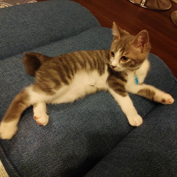 32cd2a55 bf08 4776 86f9 8878683a574b 1563634302795