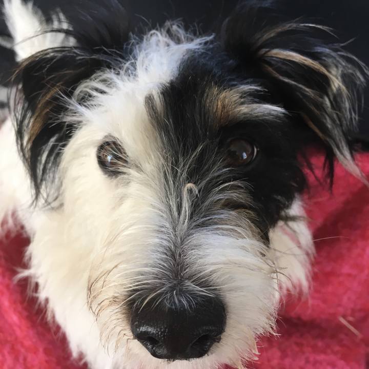 32cd3476 e89b 47df 9374 b65136a3ccbc 1519337619821