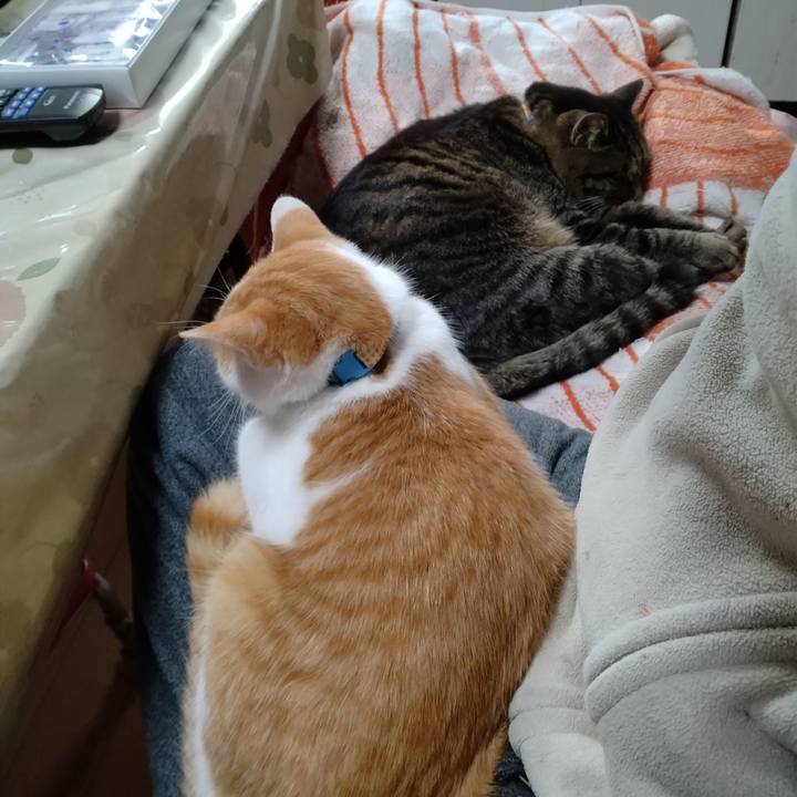 32cd42a8 75ff 4607 b111 1320cc90637e 1735439458455