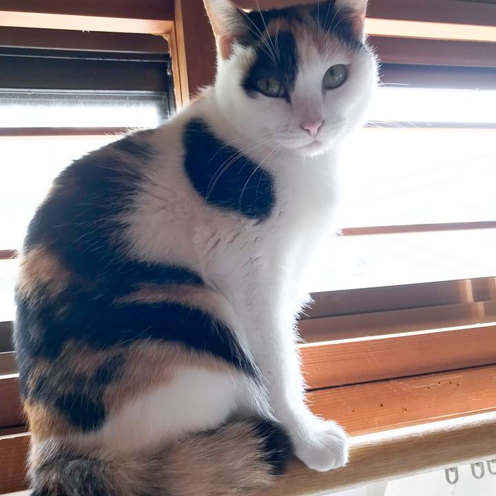 32cd467f eb86 4ce8 934f ddc5df717791 1514594790338