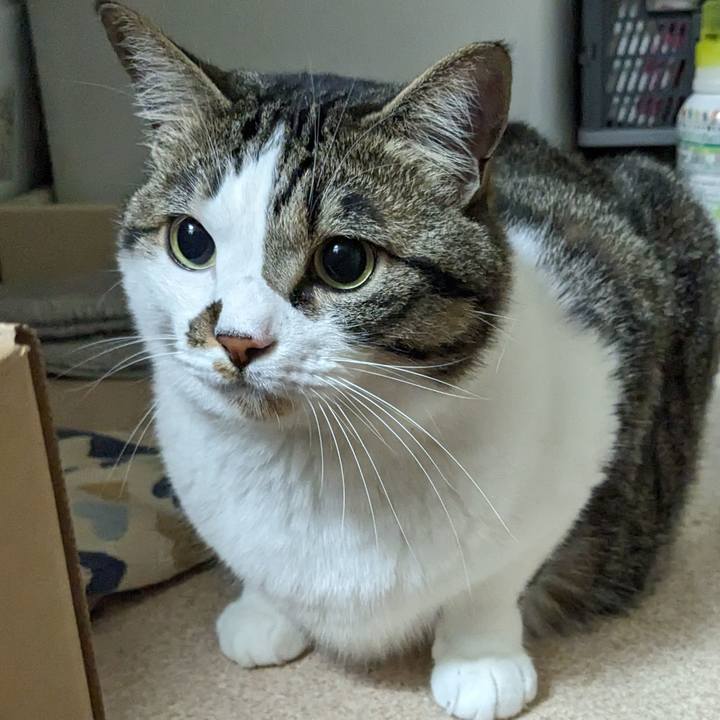 32cd5f90 83d5 455c 9a5b 696381be110a 1717253038895