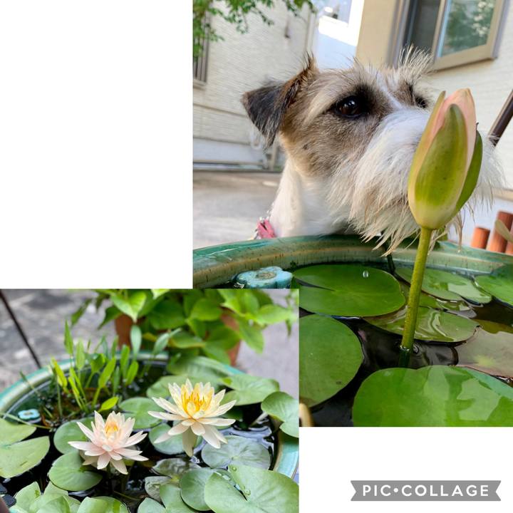 32cd8462 70cd 4508 9e4a a929dcee2b8a 1626824292666