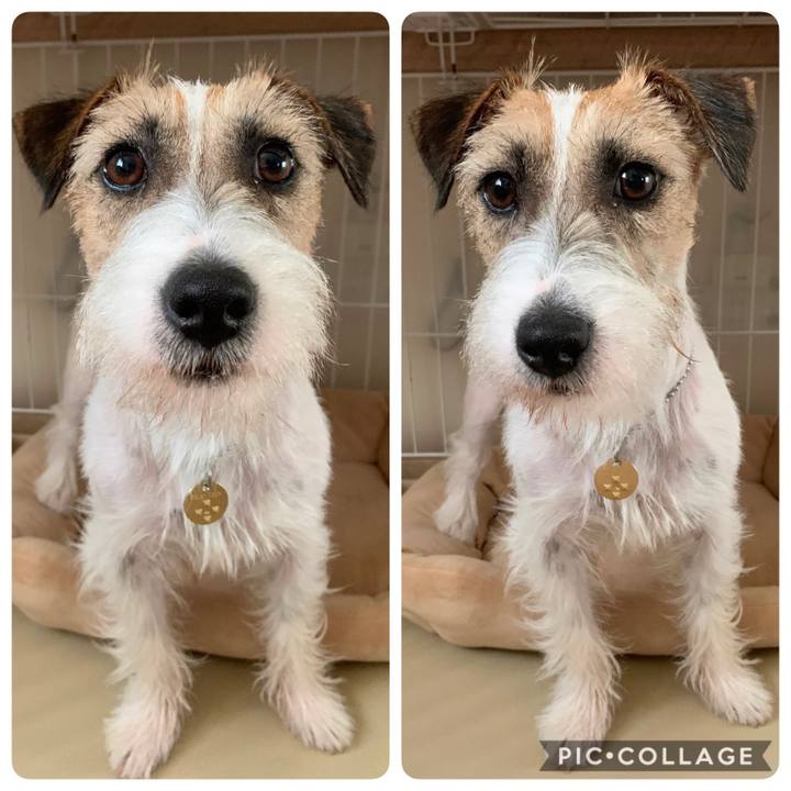 32cd946b 1bac 42fa 8ba2 c3de79e9ee19 1592351337421