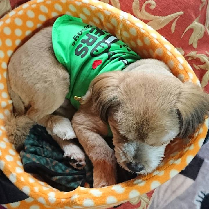 32cda311 d17e 4460 b55e b71765767b17 1516315754965