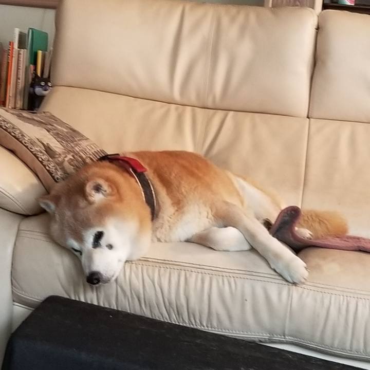 32cdb6a7 e57f 4609 bf8e 0030f85d40d5 1748762488193