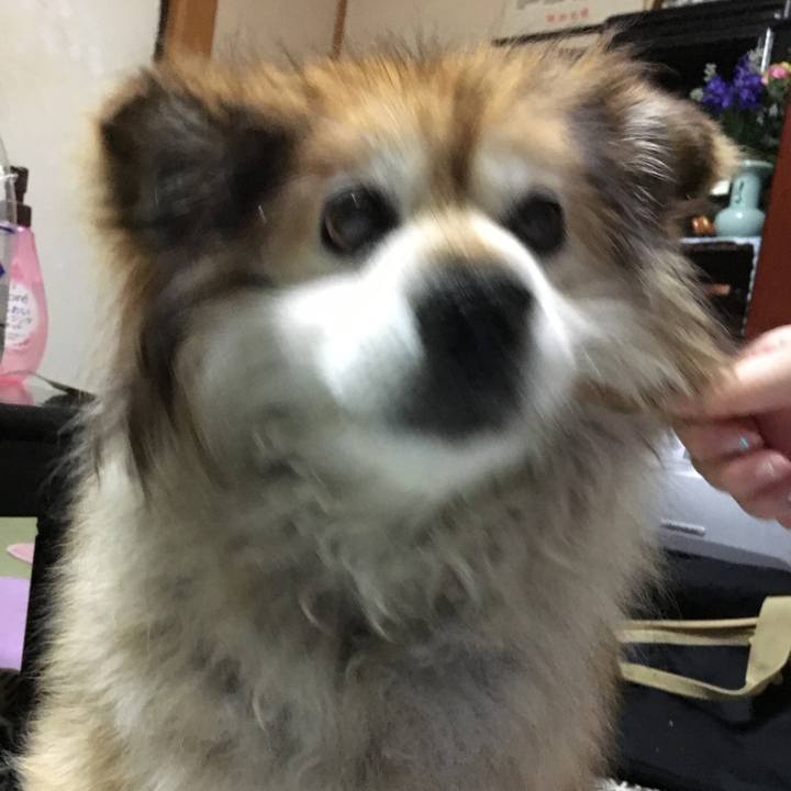 32cdc18a ab5b 4f1d bd14 2960064a2907 1570389126979