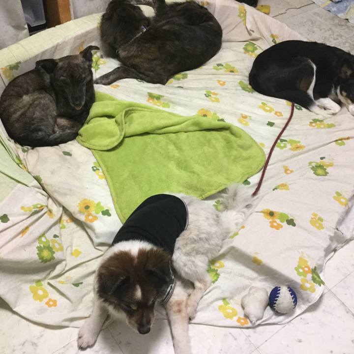 32cdc546 9426 4781 b5b2 548e282eb06e 1610789387472