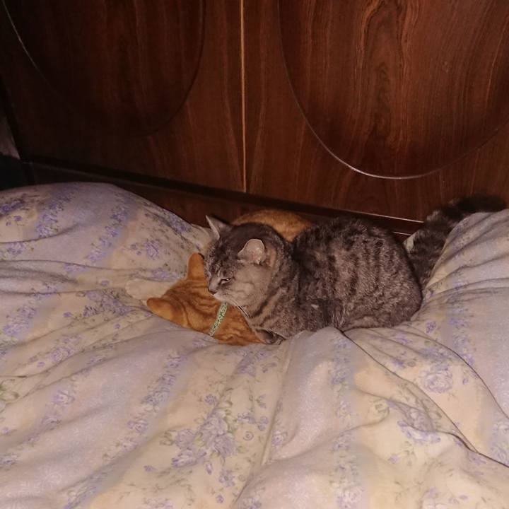 32cdfc89 b39b 499c 9b77 ba0bbeee3584 1583072781146