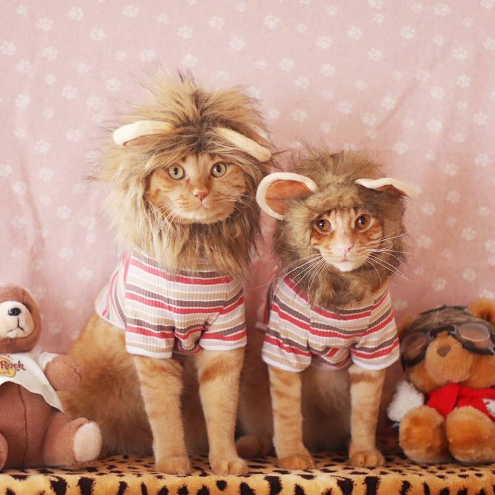 32ce3074 918f 478d 876a 6eb65144e7d1 1699412086186