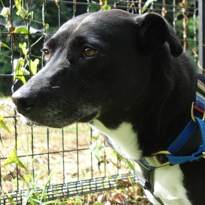 32ce7f9e 2f49 41c1 bc2e 3dc7838d5c85 1654563335536