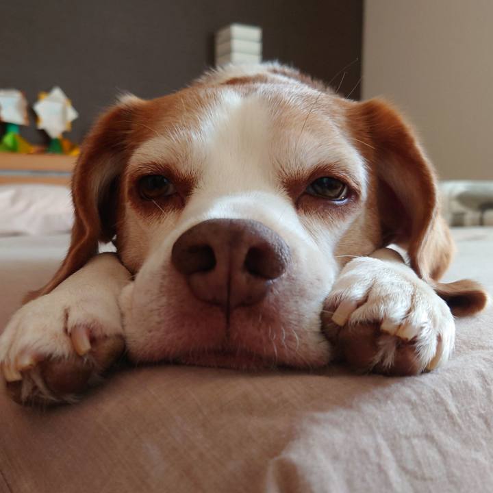 32ce8431 be3f 4fb9 8437 3cbc46f7fe79 1758685846102