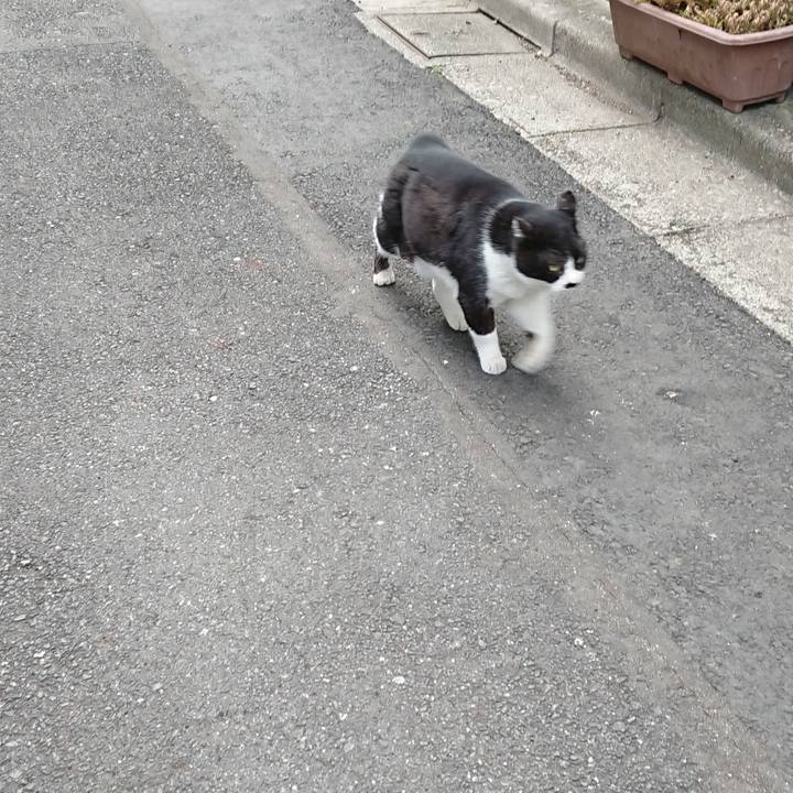 32ce8505 1e53 4eab b5ce 95256881c324 1677713173466