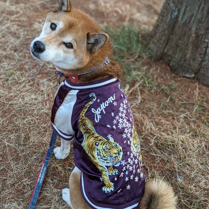 32cea945 1cb1 4215 8f65 275531c4319b 1704271183928