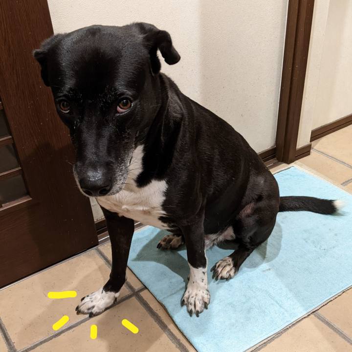 32cec647 8cbe 4b06 a3fb 442945b82f75 1698837818717