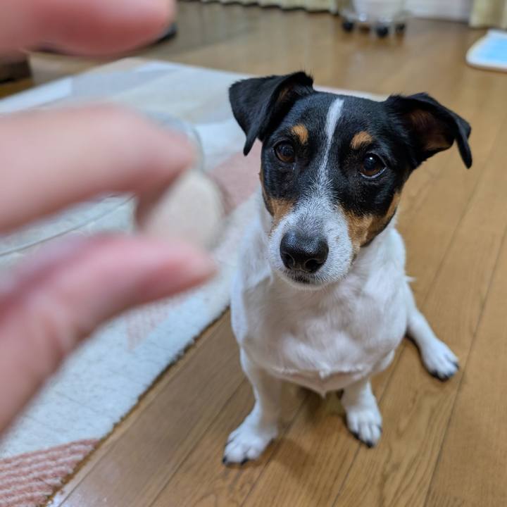 32cecaed 8e3a 47cd 9cf8 905615bfd2db 1761039049953