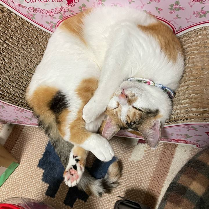 32ced24c 3a1f 4f4b 933a f9ee223d20eb 1687876575032