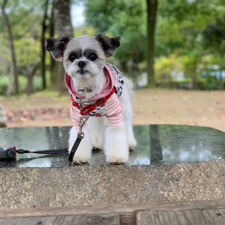 32cedeae 50d0 46bf 9dc9 44ab7198337d 1571294320214