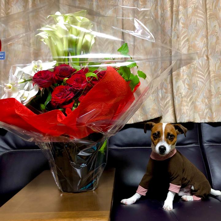 32cefa64 aa6f 4044 9432 9d4916ed468f 1569931859269